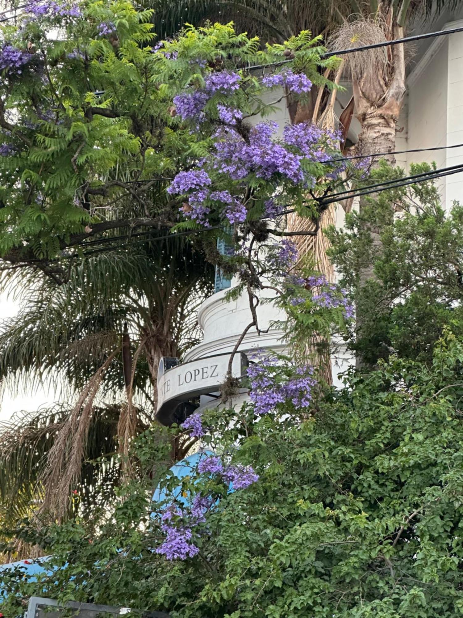 Hotel Vicente López Exteriér fotografie